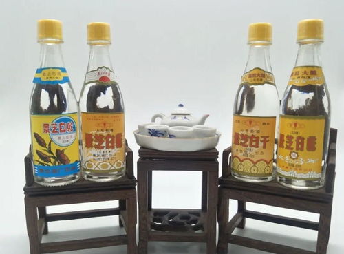為何半斤白酒尚清醒，兩瓶啤酒卻已醉？——酒精飲料與醉酒的秘密